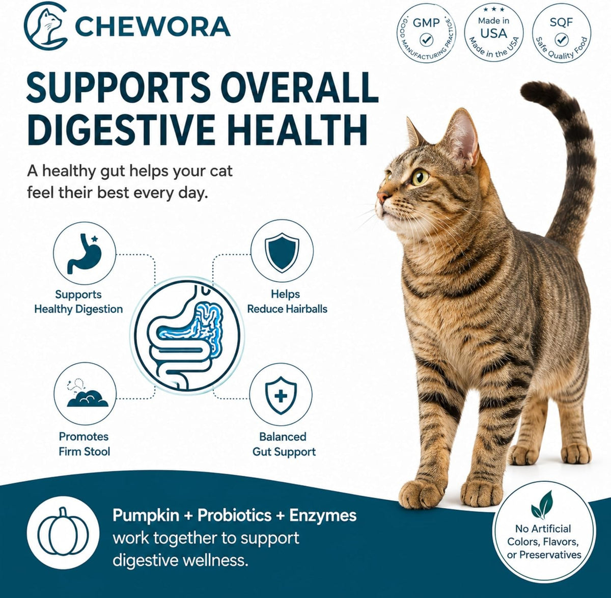 Probiotics for Cats – Digestive Support Chews, 240 Chews