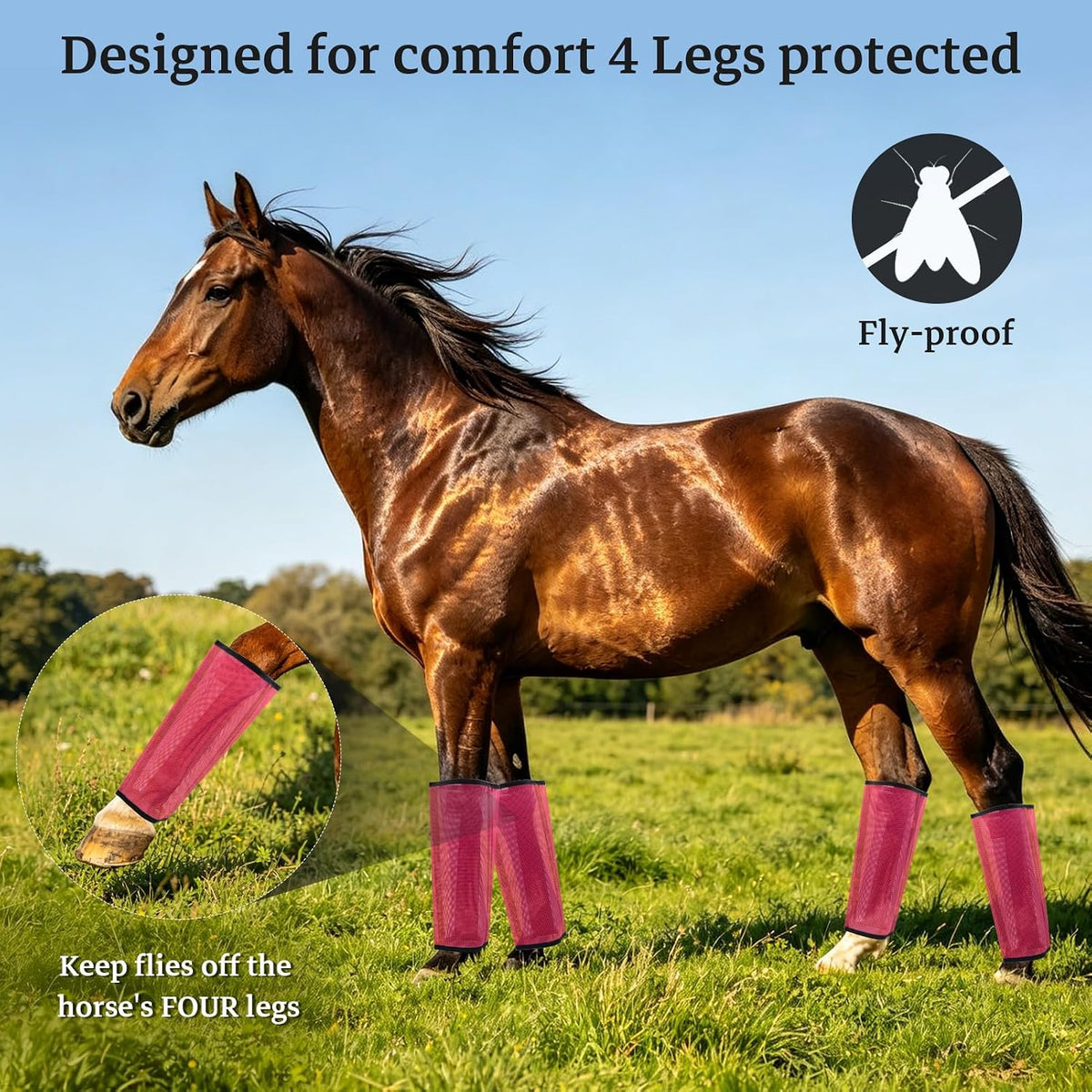 Mesh Horse Fly Boots, Pink, Set of 4