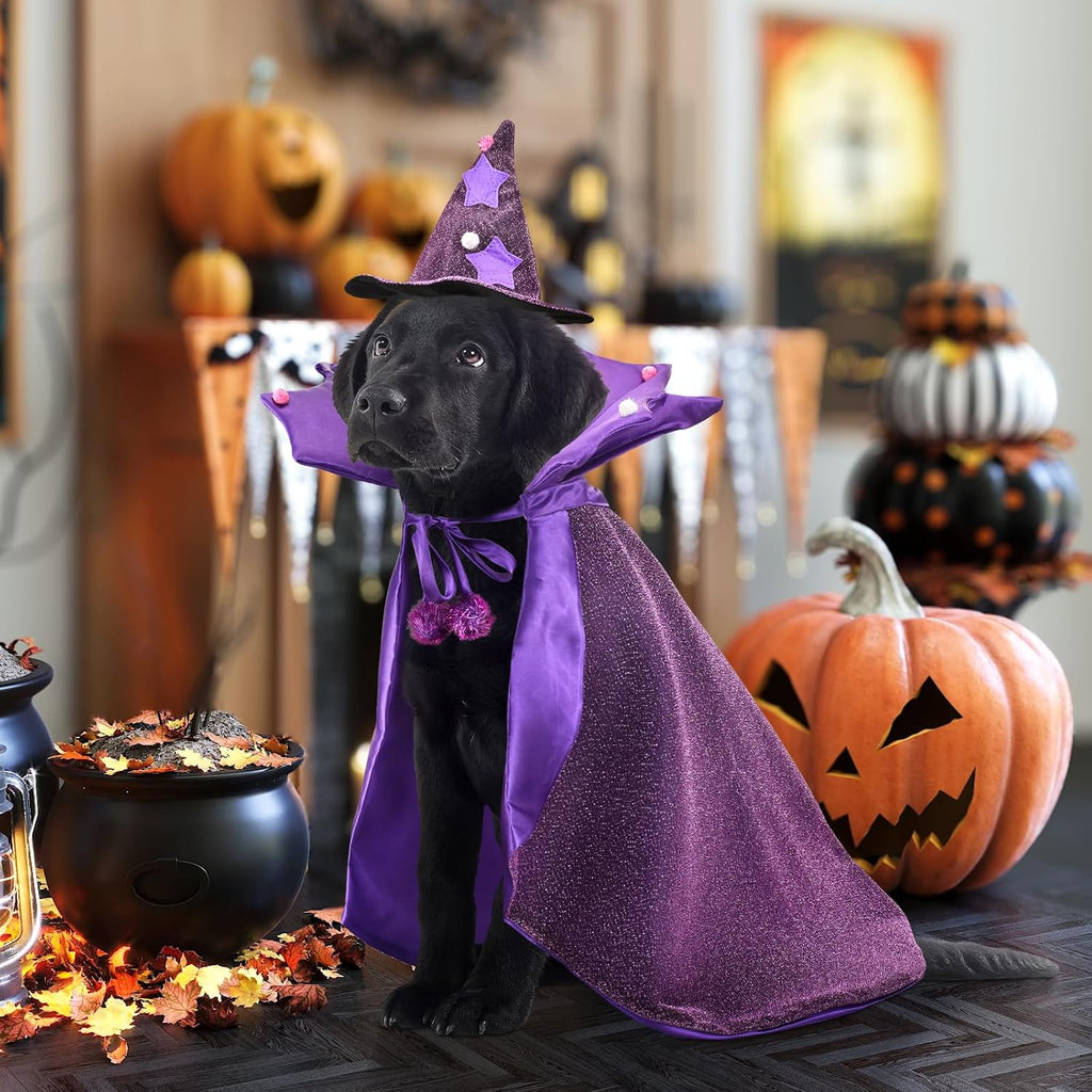 Halloween Dog Costume Dog Witch Cape Witch Hat Set Pet Wizard Cloak Vampire Devil Outfit Puppy Cat Halloween Cloak
