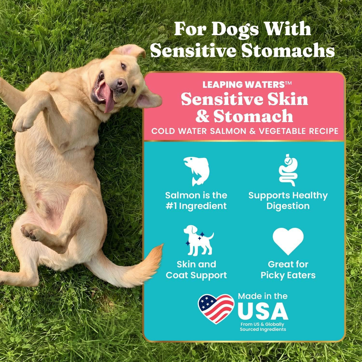 Salmon Dry Dog Food for Sensitive Stomach, Grain Free, 3.75LB