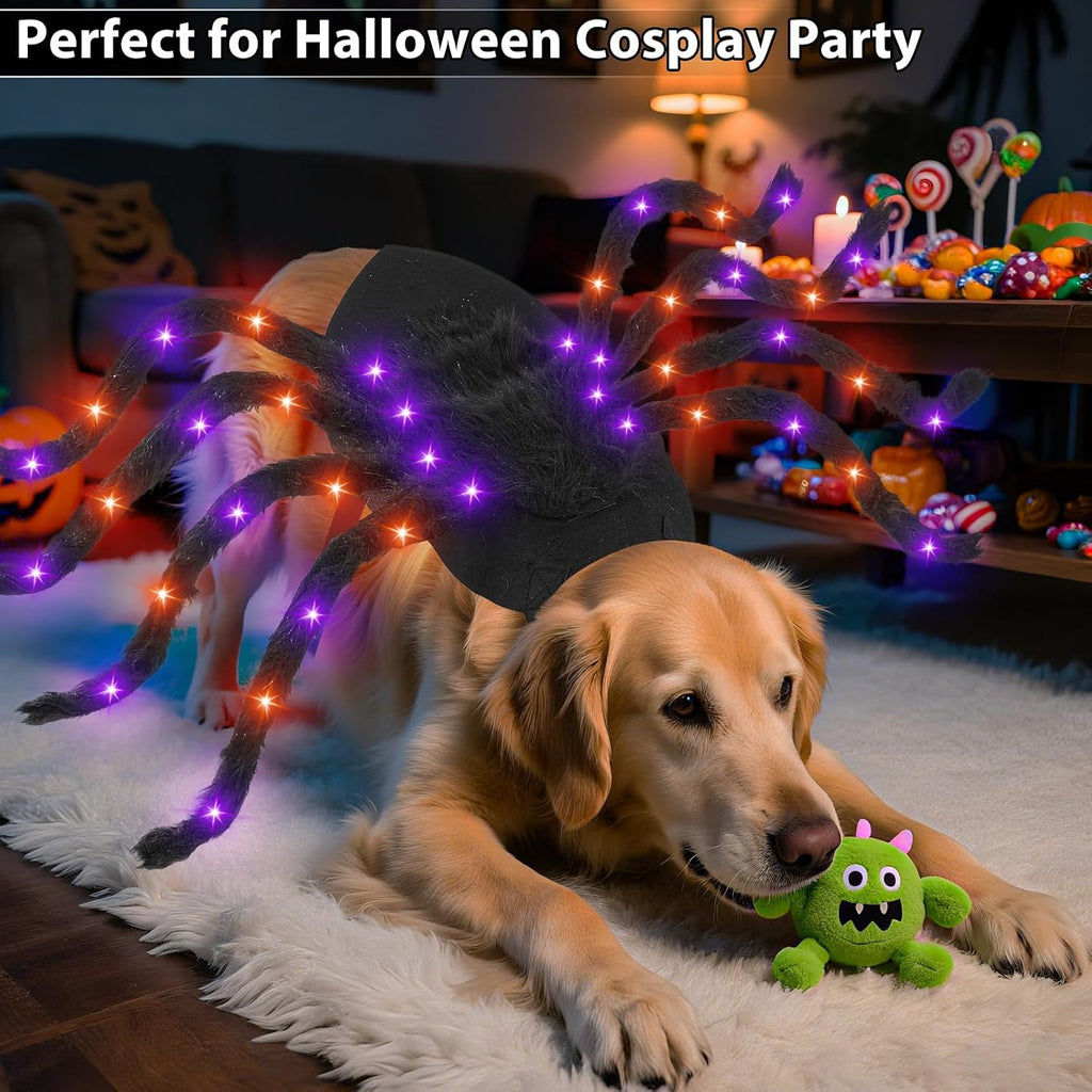 Halloween Light up Spider Dog Costumes for Small Medium Large Dogs