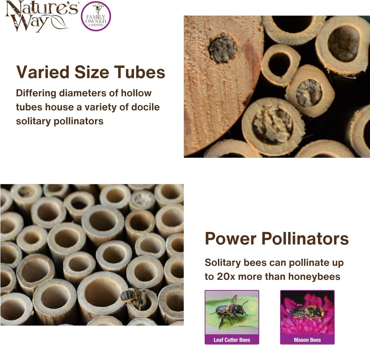 Bird Products PWH1-B Purple Bee House