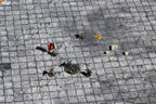 60 x 44 inch Double-Sided Rubber Battle Mat: Homeland + Los Duas + Bag
