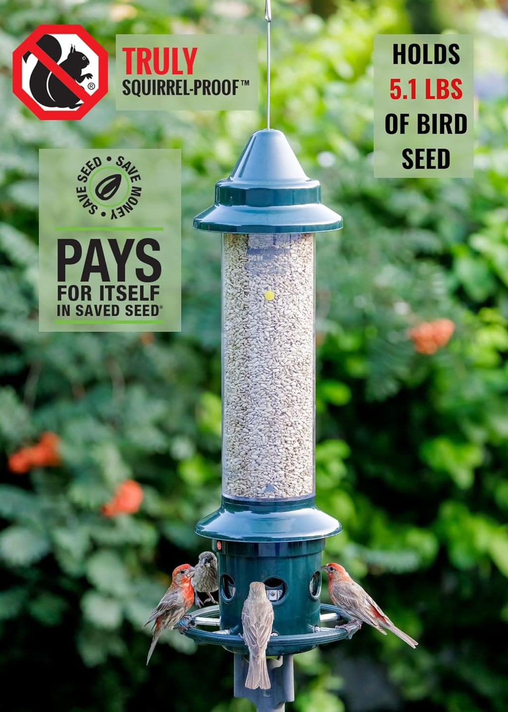 Squirrel Buster Plus Squirrel-proof Bird Feeder w/Cardinal Ring and 6 Feeding Ports, 5.1-pound Seed Capacity