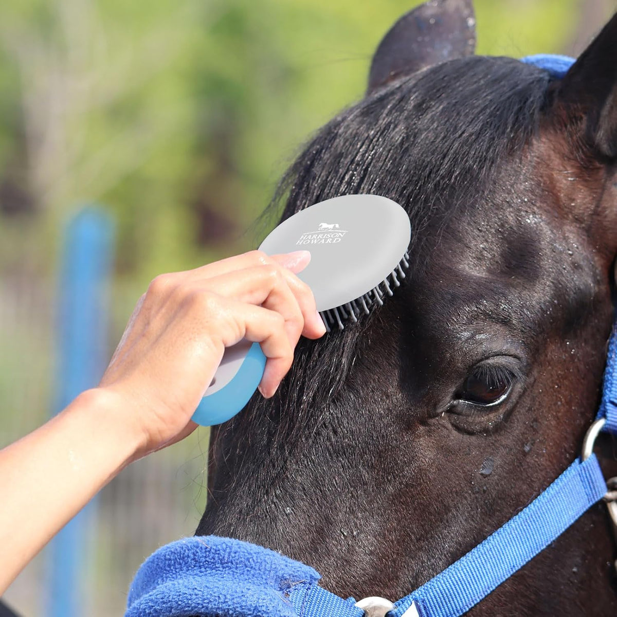 Horse Mane and Tail Brush, Professional Grooming Brush