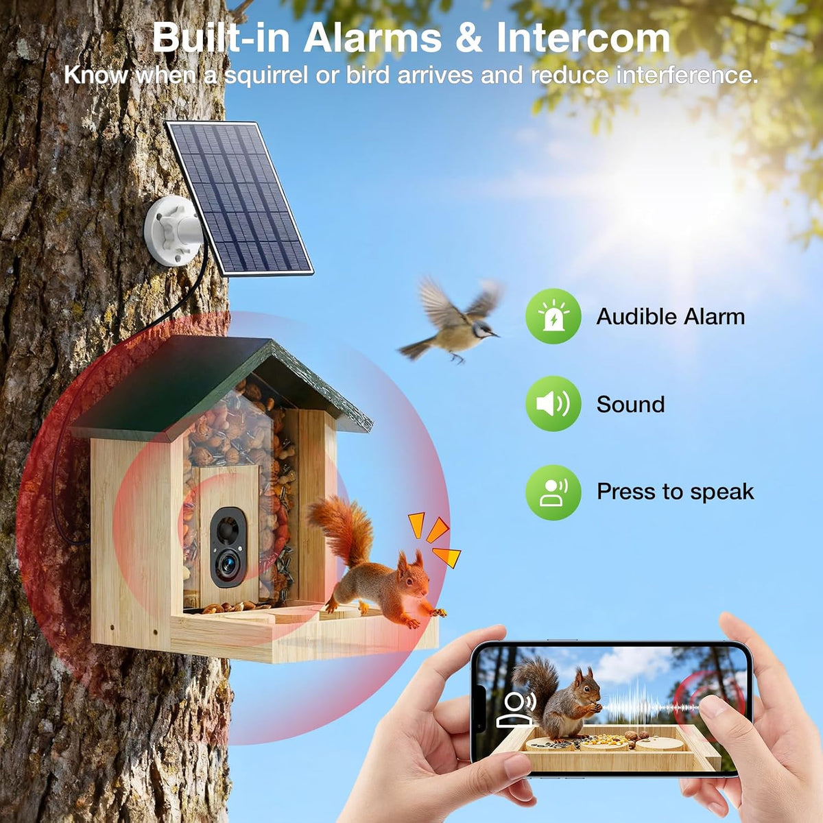 Wooden Squirrel Feeder with Camera, Solar-Powered, 2K HD+ Video