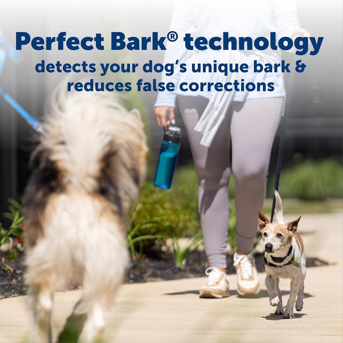 NanoBark 2.0 Bark Collar for Small Dogs