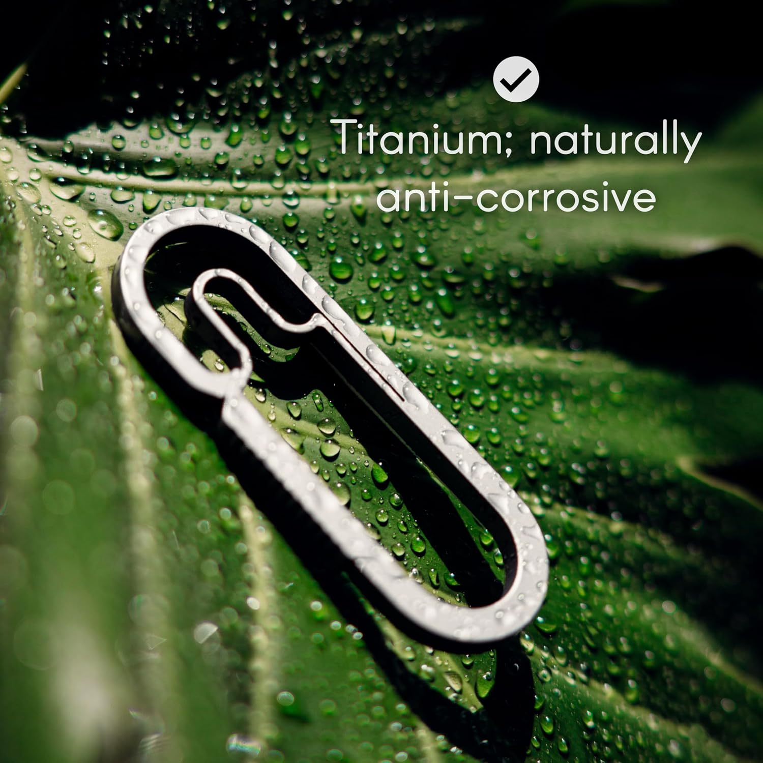 Baxter Titanium Carabiner Keychain – Ultralight for Everyday Carry/EDC – Multi-Purpose, Durable EDC Survival Gear