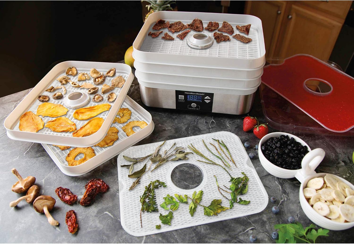 Pack of 5 Premium Non Stick Silicone Dehydrator Sheets Fruit Dryer Mesh for Hamilton Beach 32100A