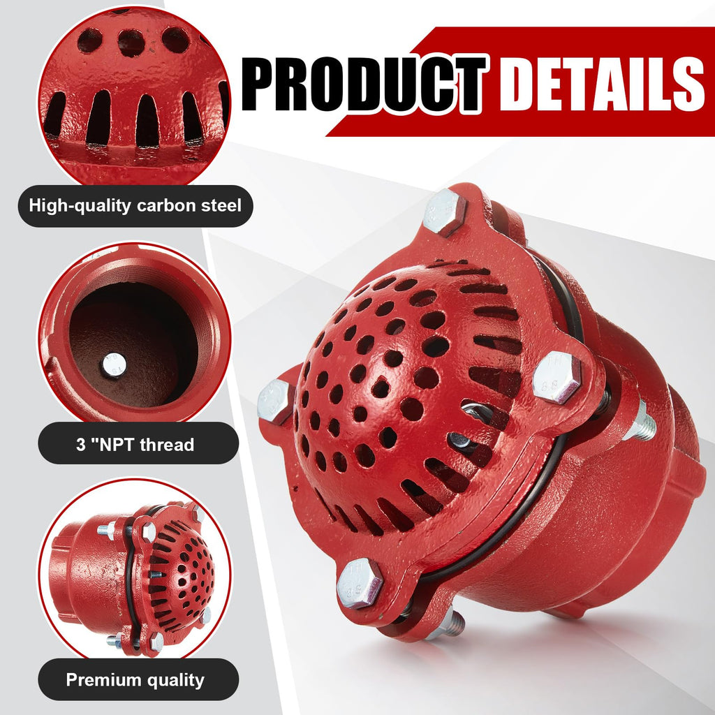 Cast Iron Foot Valve, NPT Threaded Check Valve with Strainer, 3 Inch