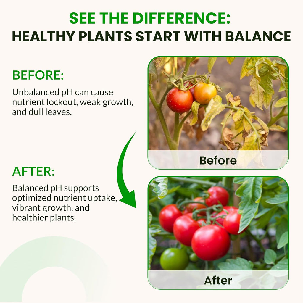 pH Up and pH Down Control Kit | Liquid Nutrient Solution Balancer for Plants | for Soil, Hydroponic, Coco, and DWC