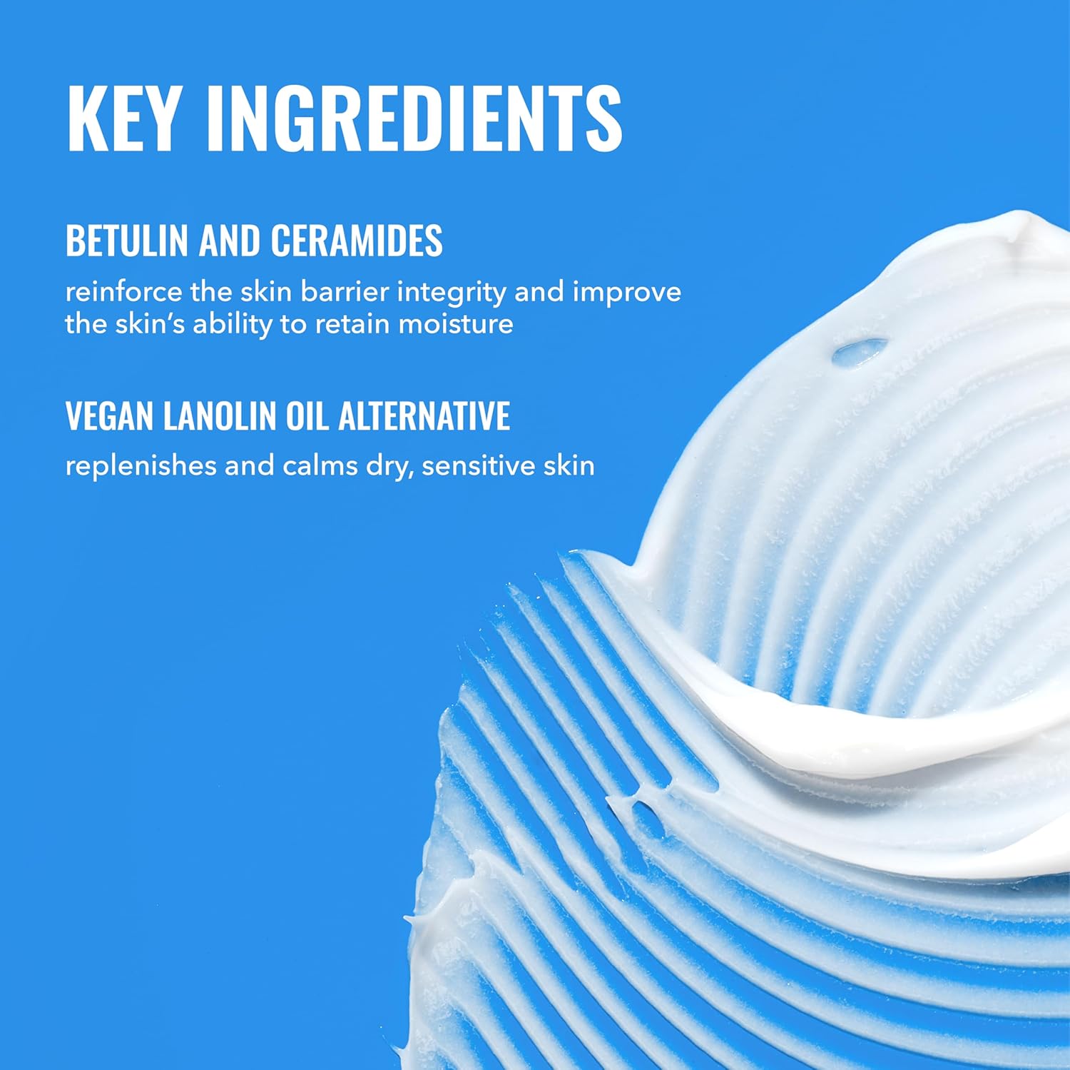 Rich Cream with Ceramides, Face Moisturizer for Dry Skin | Nourishing ceramide cream that moisturizes and softens.