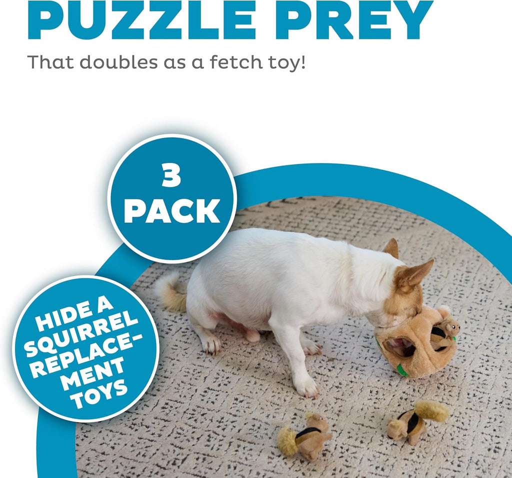 Squeakin' Squirrels Plush Squeaky Dog Toys, 3-Pack, 7"
