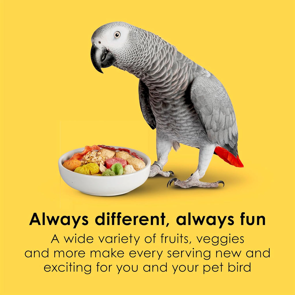 Fiesta Parrot Food for Large Birds, 4.5 Pounds | Fun feeding. Bird food with fruits, veggies, grains. Bird seeds