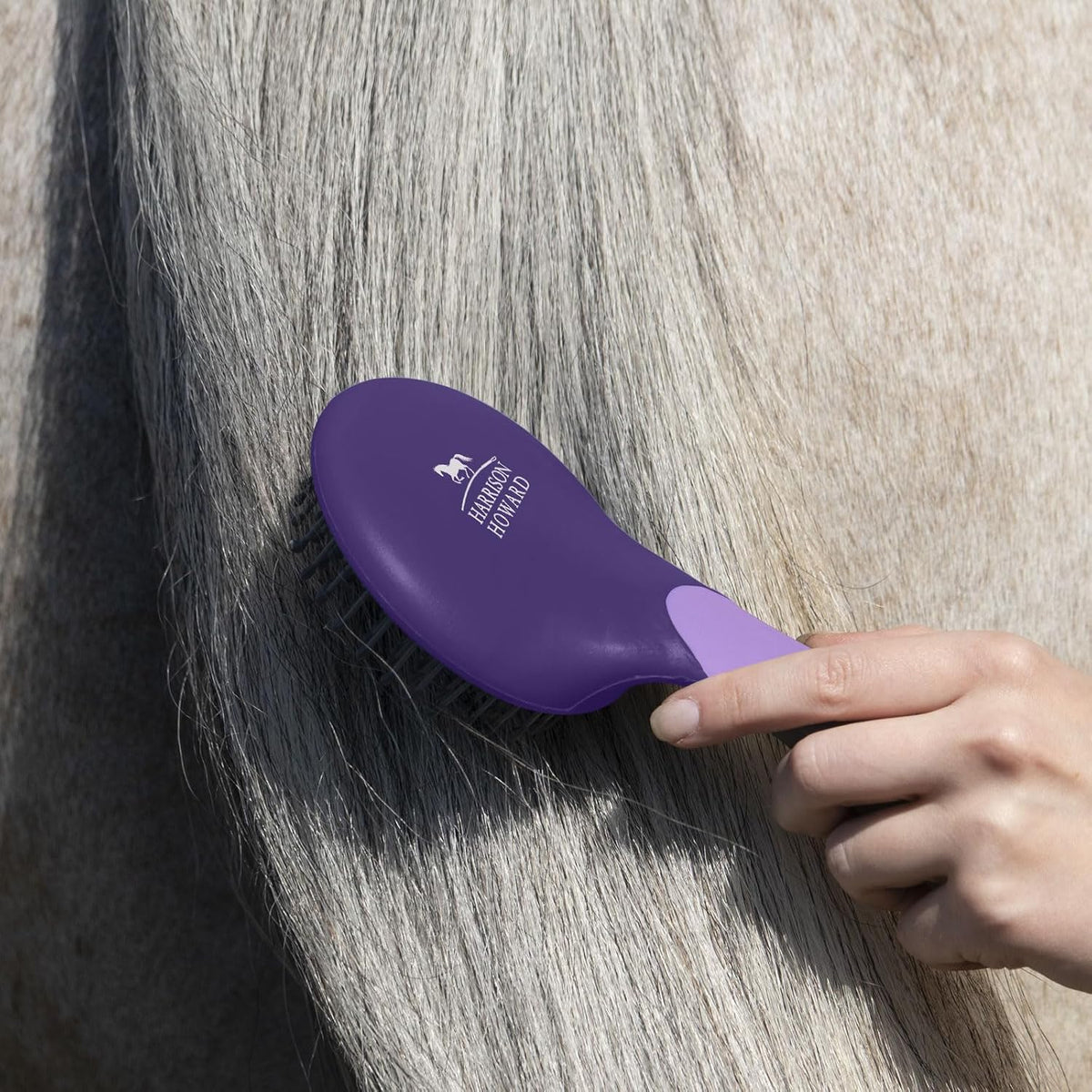 Horse Mane and Tail Brush, Professional Grooming Brush