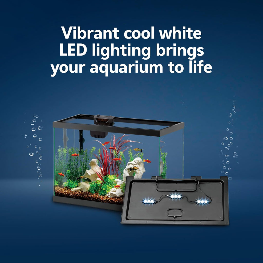 Aquarium Starter Kit with Smart Clean Filtration and LED Lighting, Freshwater and Saltwater Fish, Perfect for Tetras