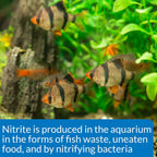 NITRITE TEST KIT 180-Test Freshwater and Saltwater Aquarium Test Kit