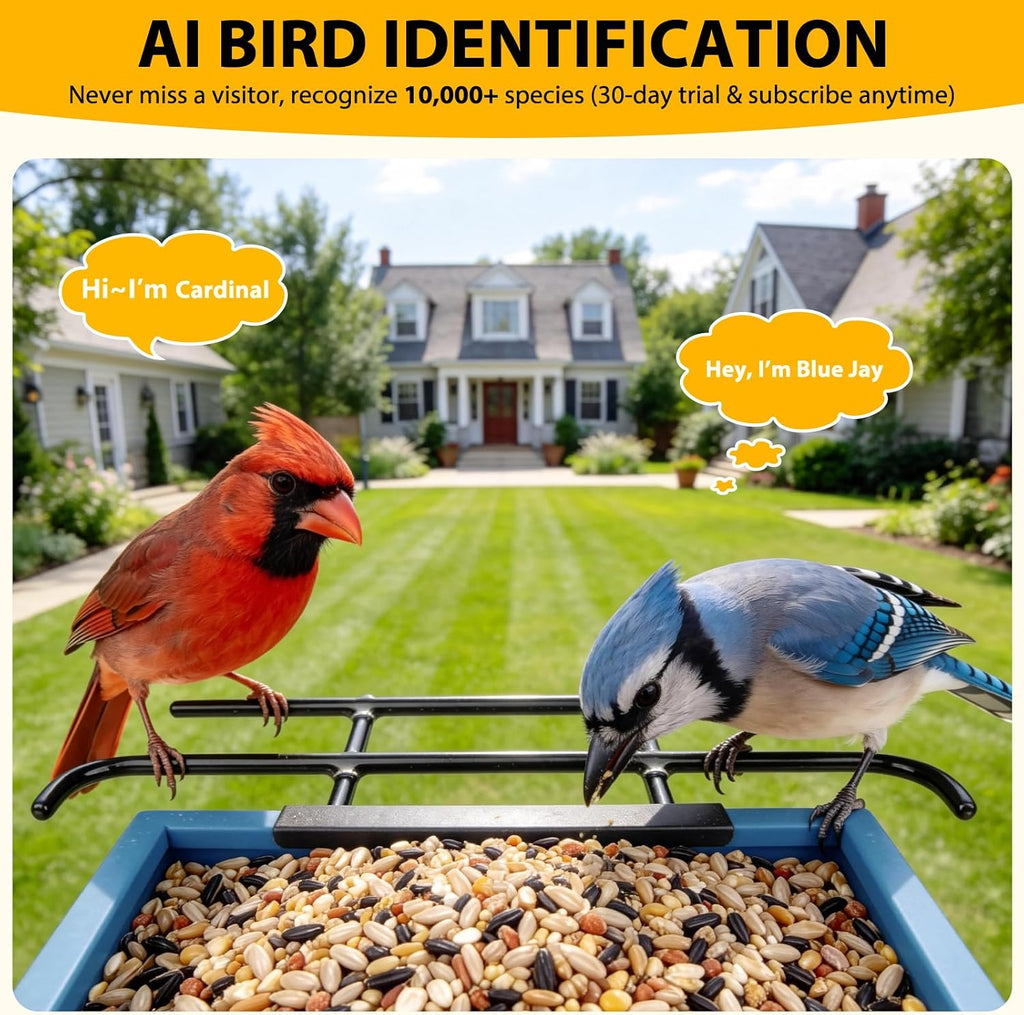 Smart Bird Feeder with Camera 2.5K HD, Bird House for Outdoors, Blue