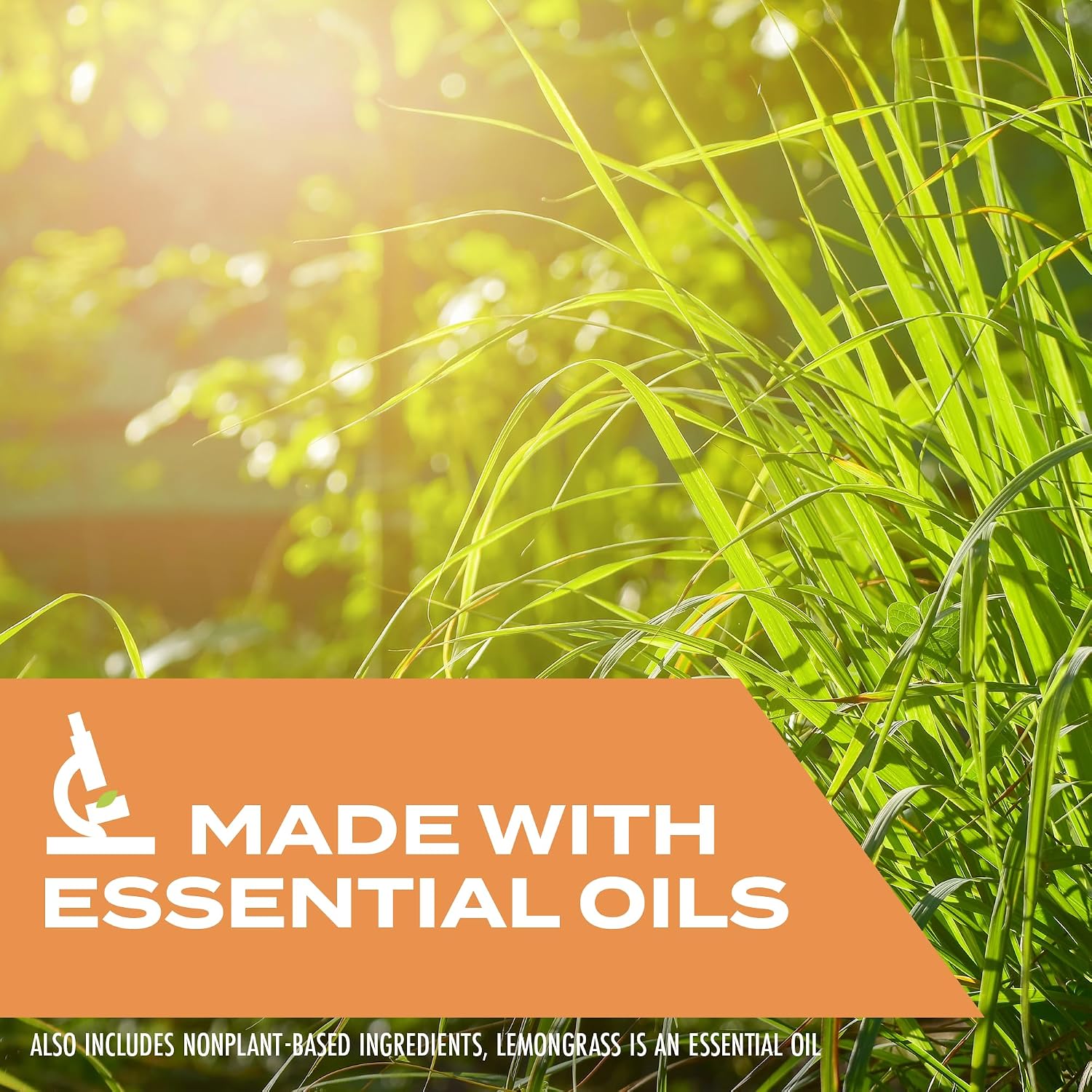 Kills Wasps, Hornets and Yellow Jackets: Plant-Based Active Ingredient Bug Spray, Botanical Insecticide for Outdoor