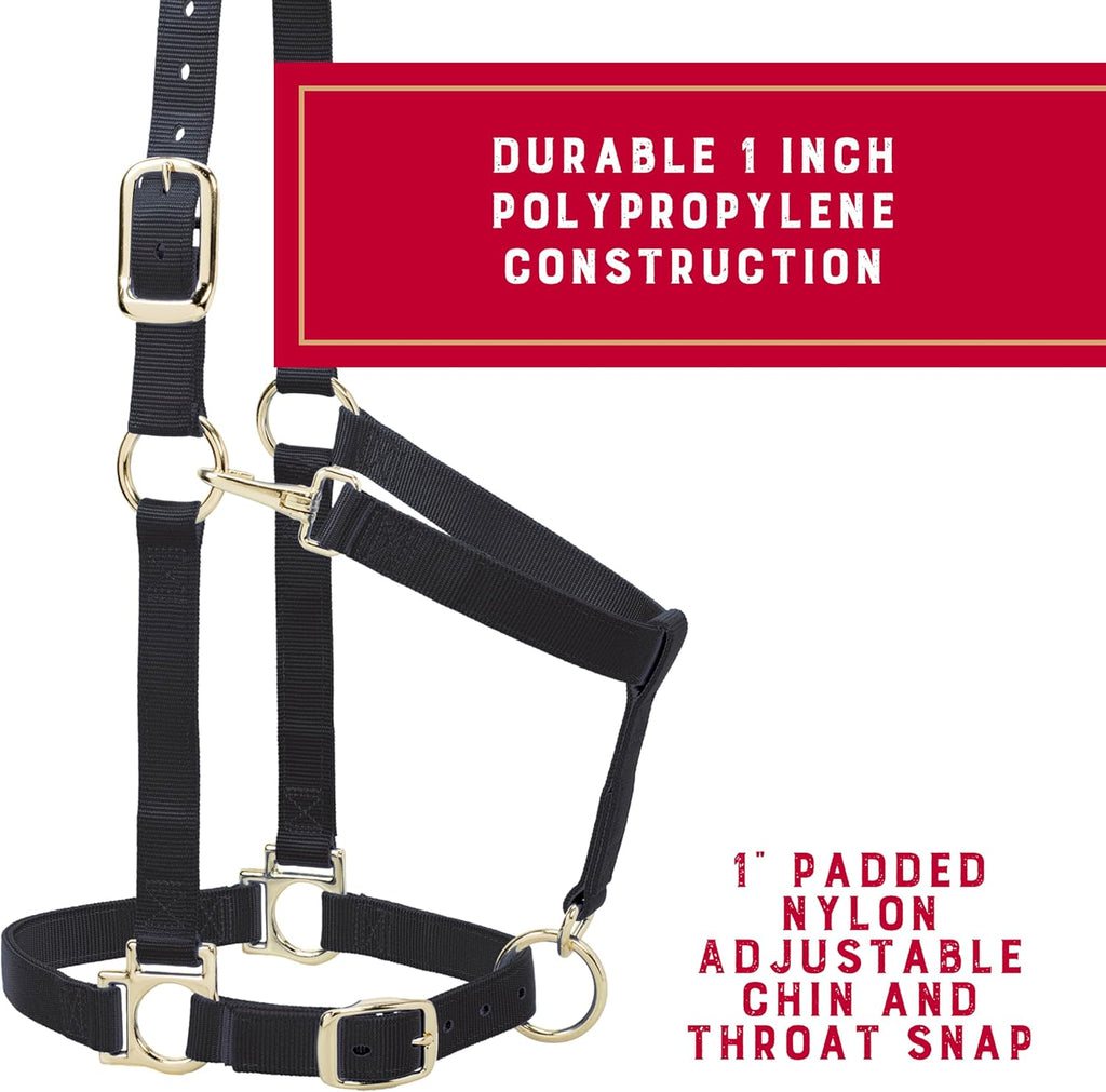 Nylon Horse Halter, Average Horse, Padded & Adjustable, 1 in