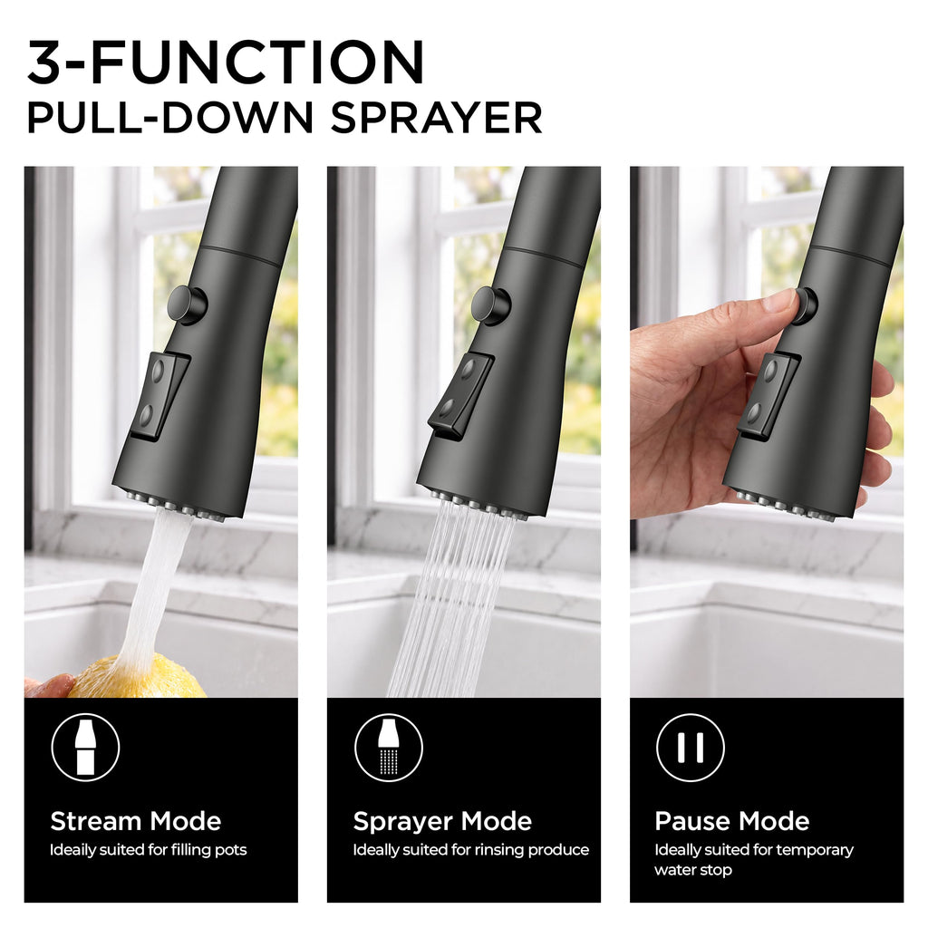 Black Kitchen Faucet with Cup Washer, Pull Down Sprayer, High Arc