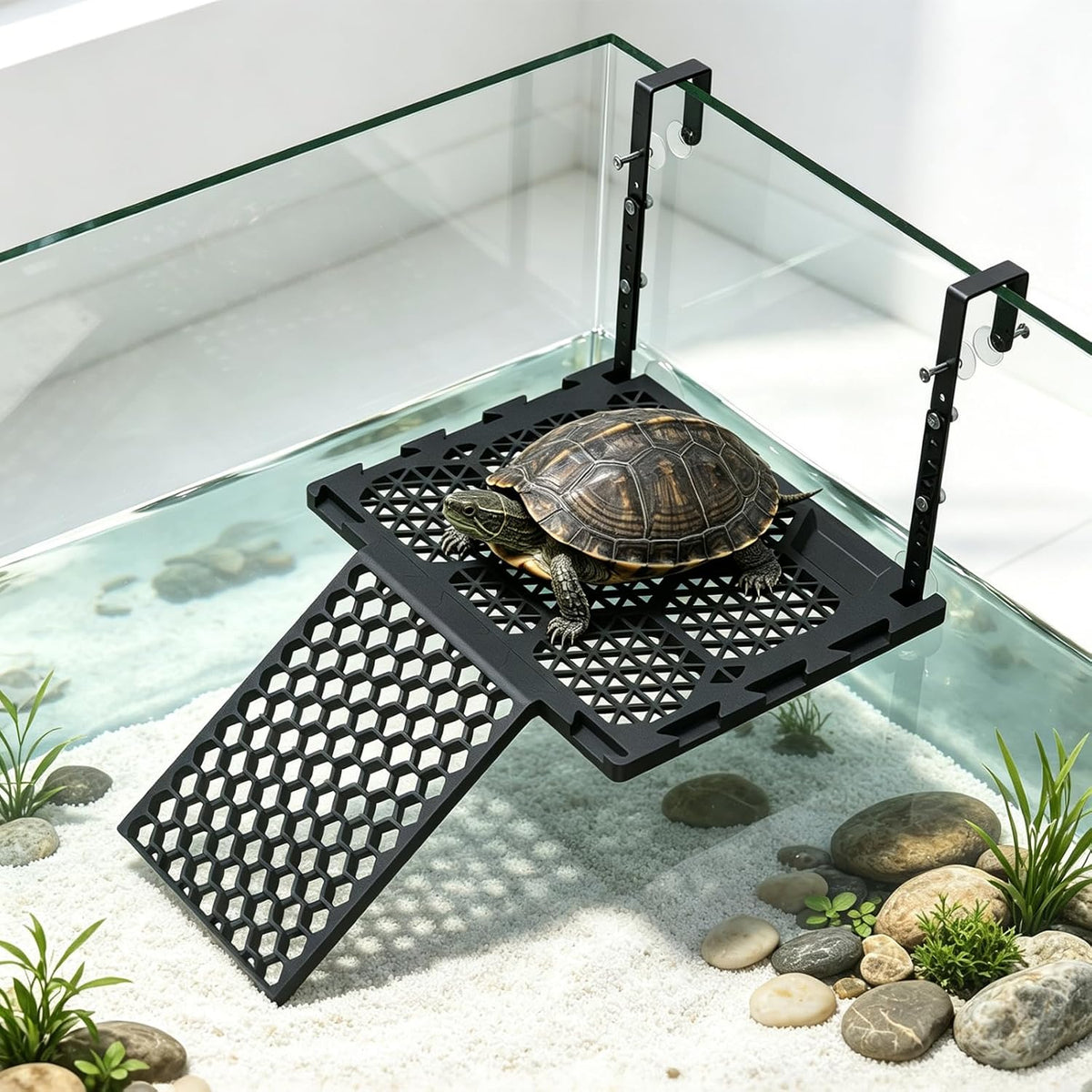 Adjustable Hanging Turtle Basking Platform with Ramp & Feeding Tray