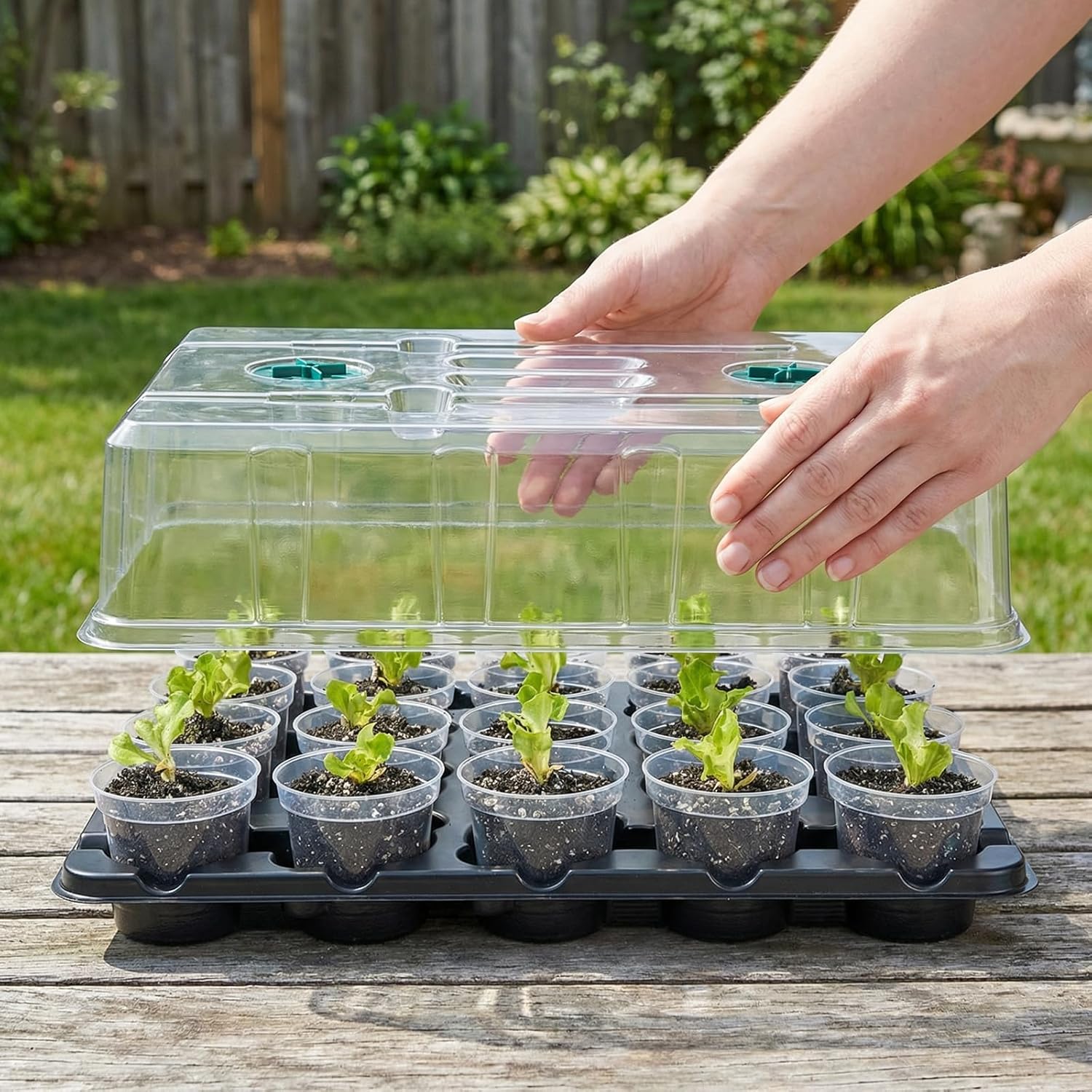 2 Pack 20 Cell Seed Starter Trays with Humidity Domes and 40 Pots | Includes 2 humidity domes and 40 clear 3 inch