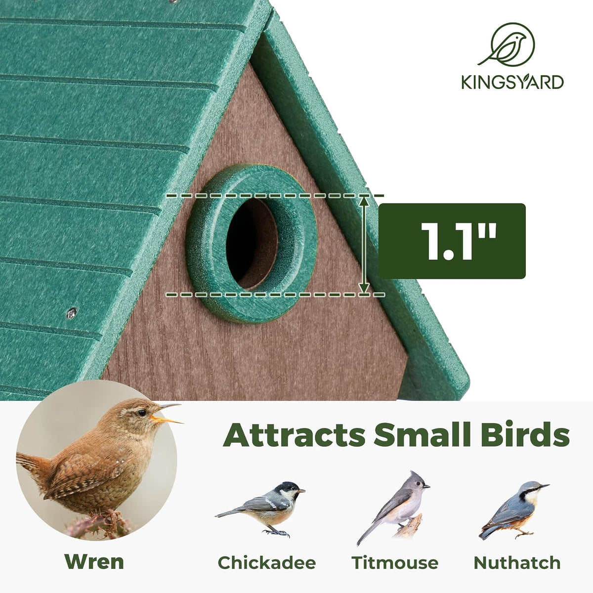 Recycled Poly Lumber Bird House with Predator Guard for Wrens