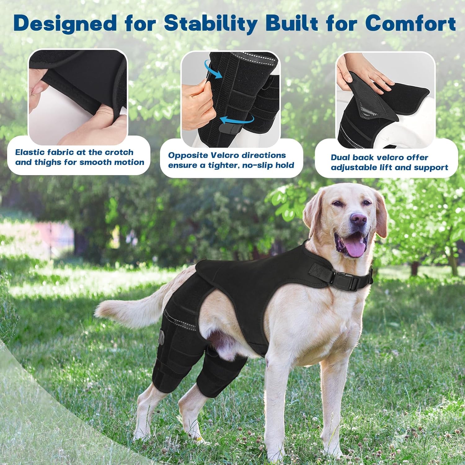 Dog Knee Brace for Torn ACL Hind Leg, Dog Leg Braces for Back Leg Support with 4 Metal Stabilizers Helps with Torn