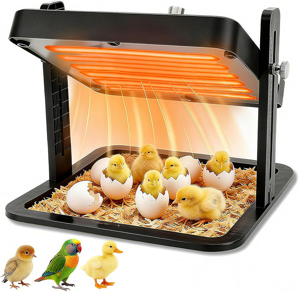 Brooder Heater for Chicks – 10.8" Radiant Heat Plate with Adjustable Height & Angle, Thermostat Control (113–158 ℉)