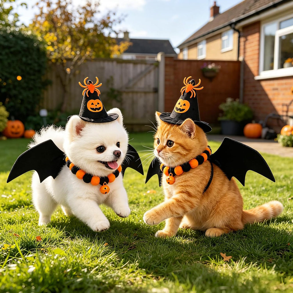 Halloween Pet Costumes Bat Wings for Small Dogs and Cats (Size S)