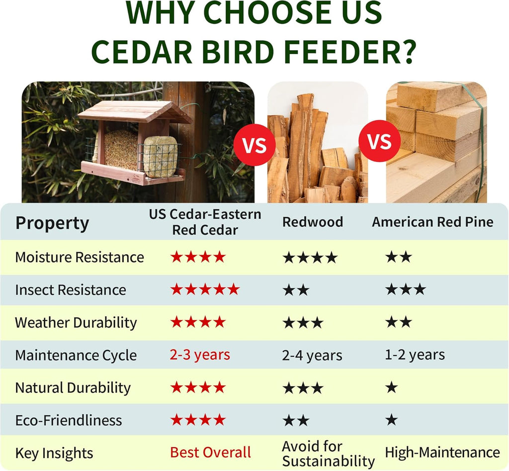 Solution4Patio Squirrel-Proof Cedar Hopper Bird Feeder, Dual Suet Holder
