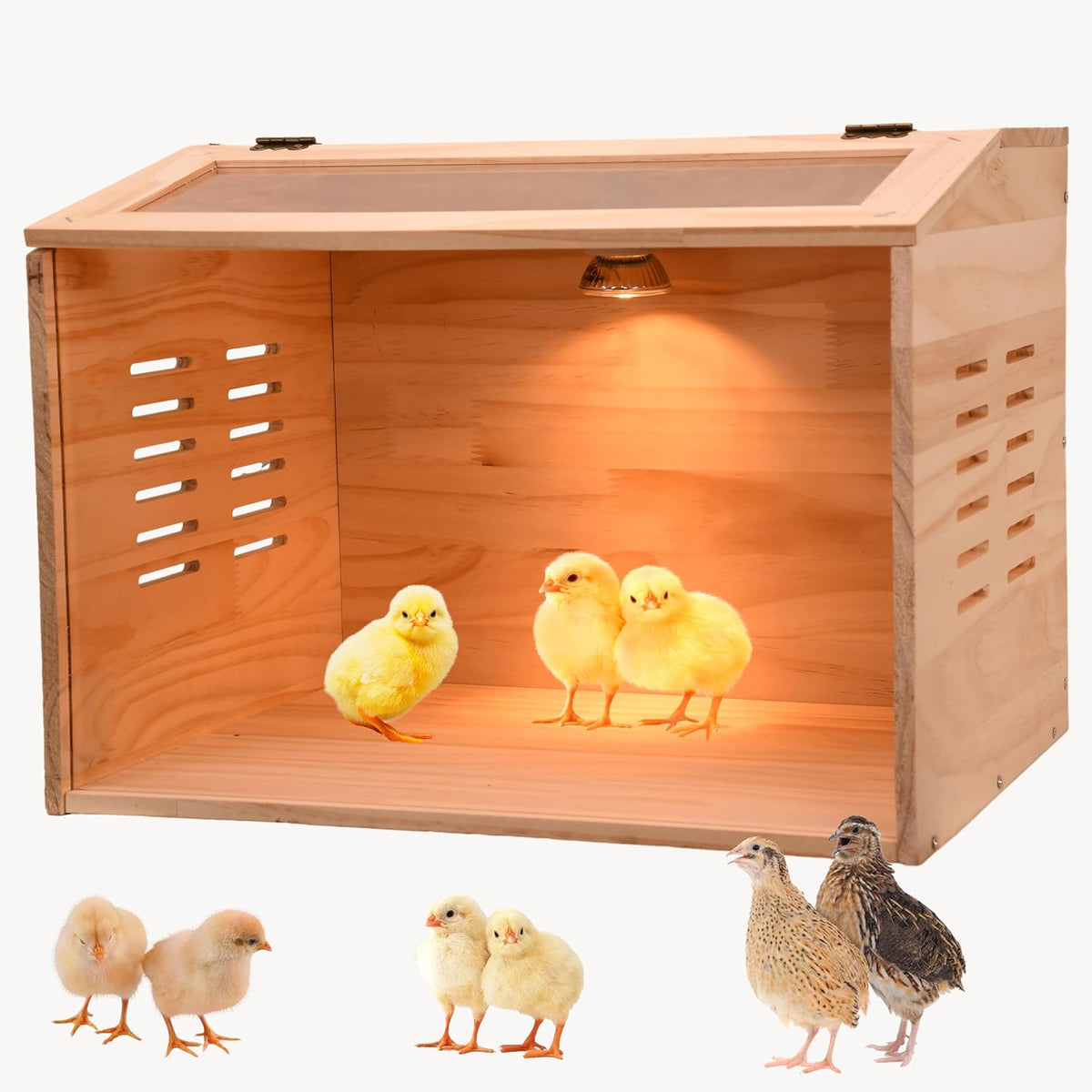 Brooder Box for Chicks, Chicken Brooder Box, Chicken Heater, Poultry Brooder with Heaters for Baby Chicks, Ducks