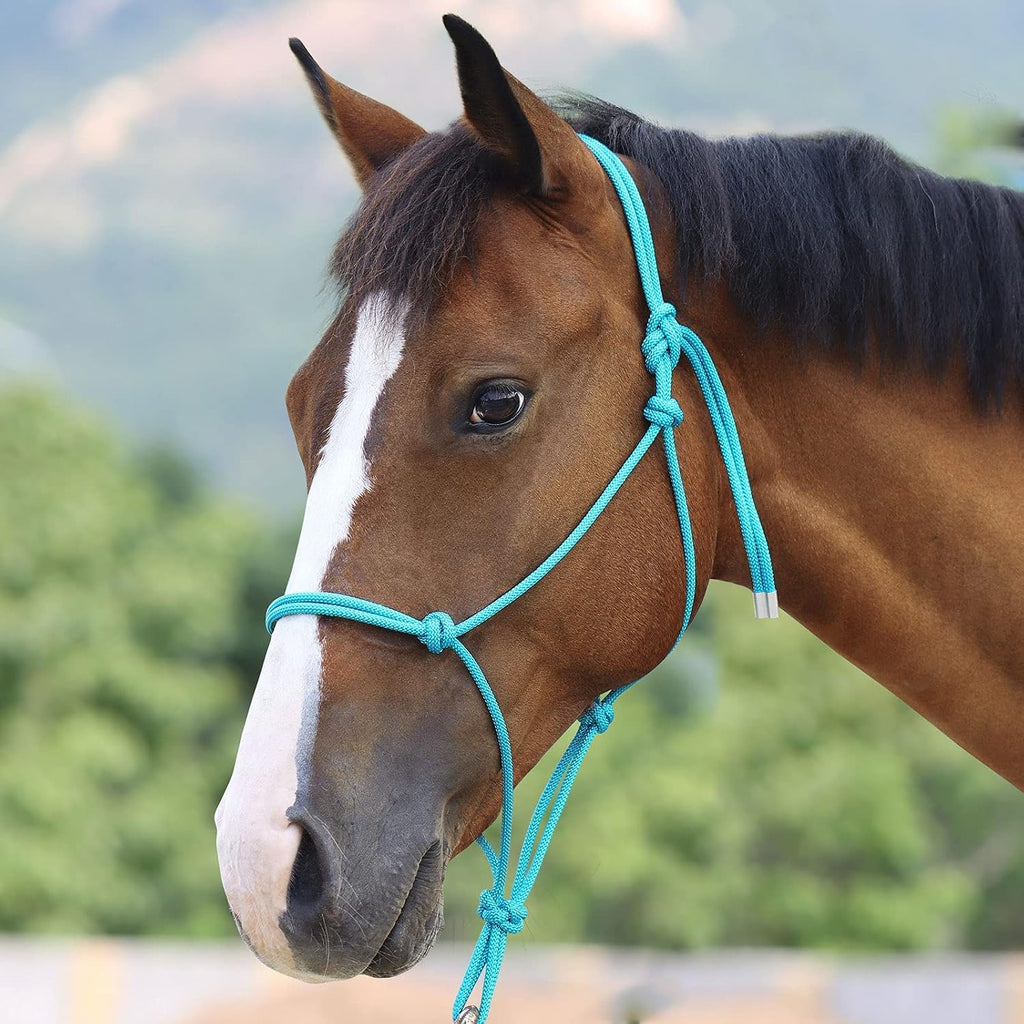 Rope Halter for Horses - Super Sturdy Training Halter with 2 Knot 1/4" Stiff Cord