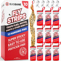 Fly Strips Indoor Sticky Hanging 10pk with Pins. Non Toxic Outdoor Fly Trap Indoor for Home. Flies Tape Paper Trap