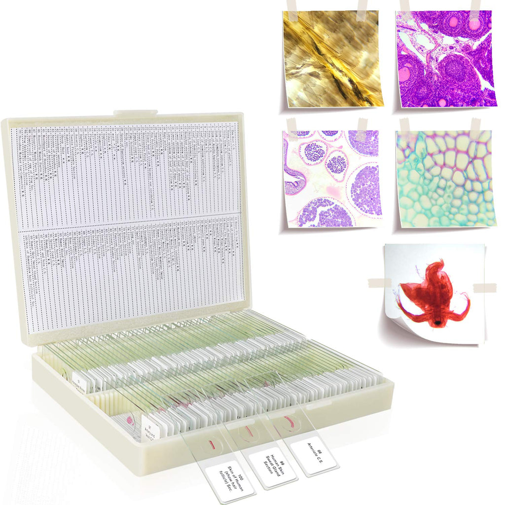 100 Prepared Microscope Slides Specimens, Kids Students STEM Science | Animal Plant Insect Specimens, Labels Round