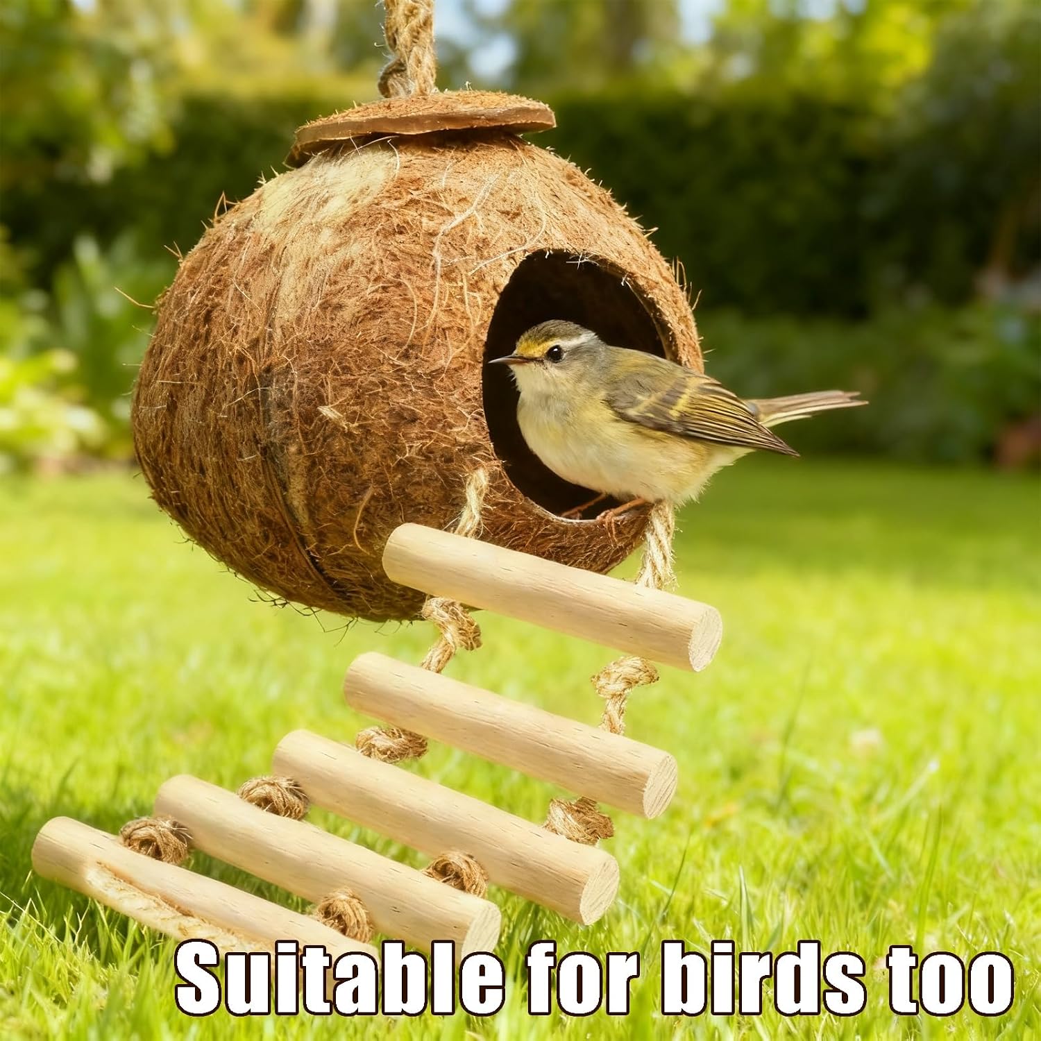 Gecko Tank Accessories Natural Coconut Shell Hut with Climbing Ladder & Suction Cup Hermit Crab Toys Reptile Hideout