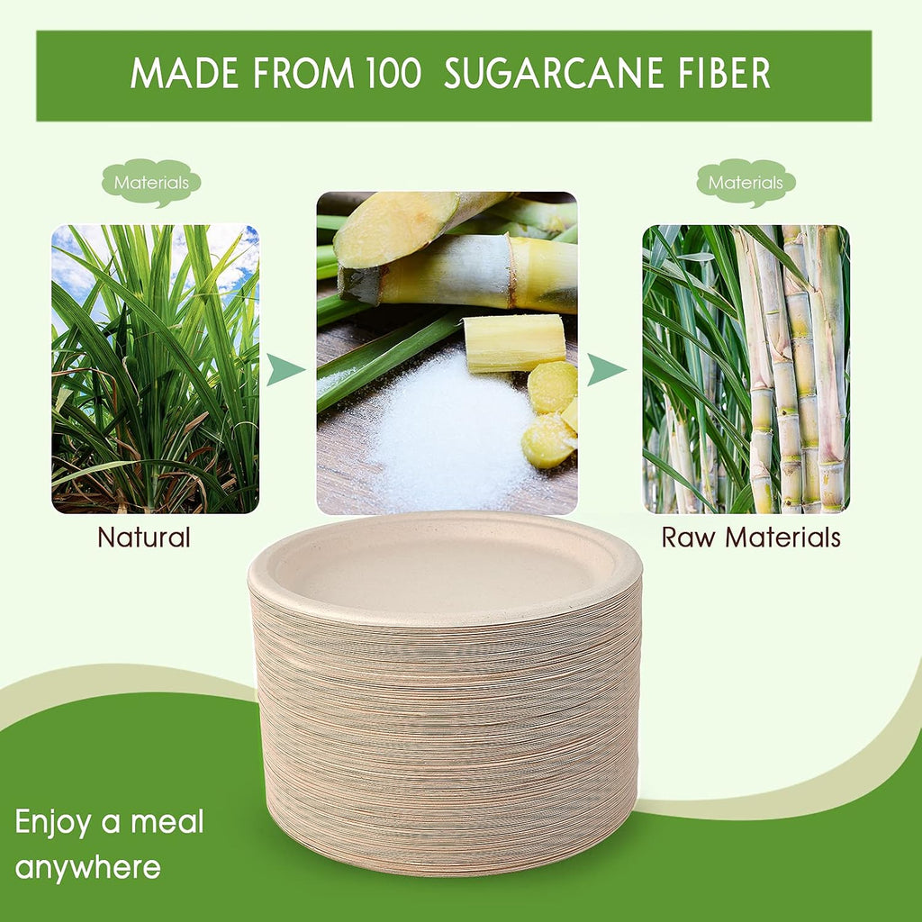 150 Pack Compostable Bagasse Paper Plates 10.25 inch, Nature