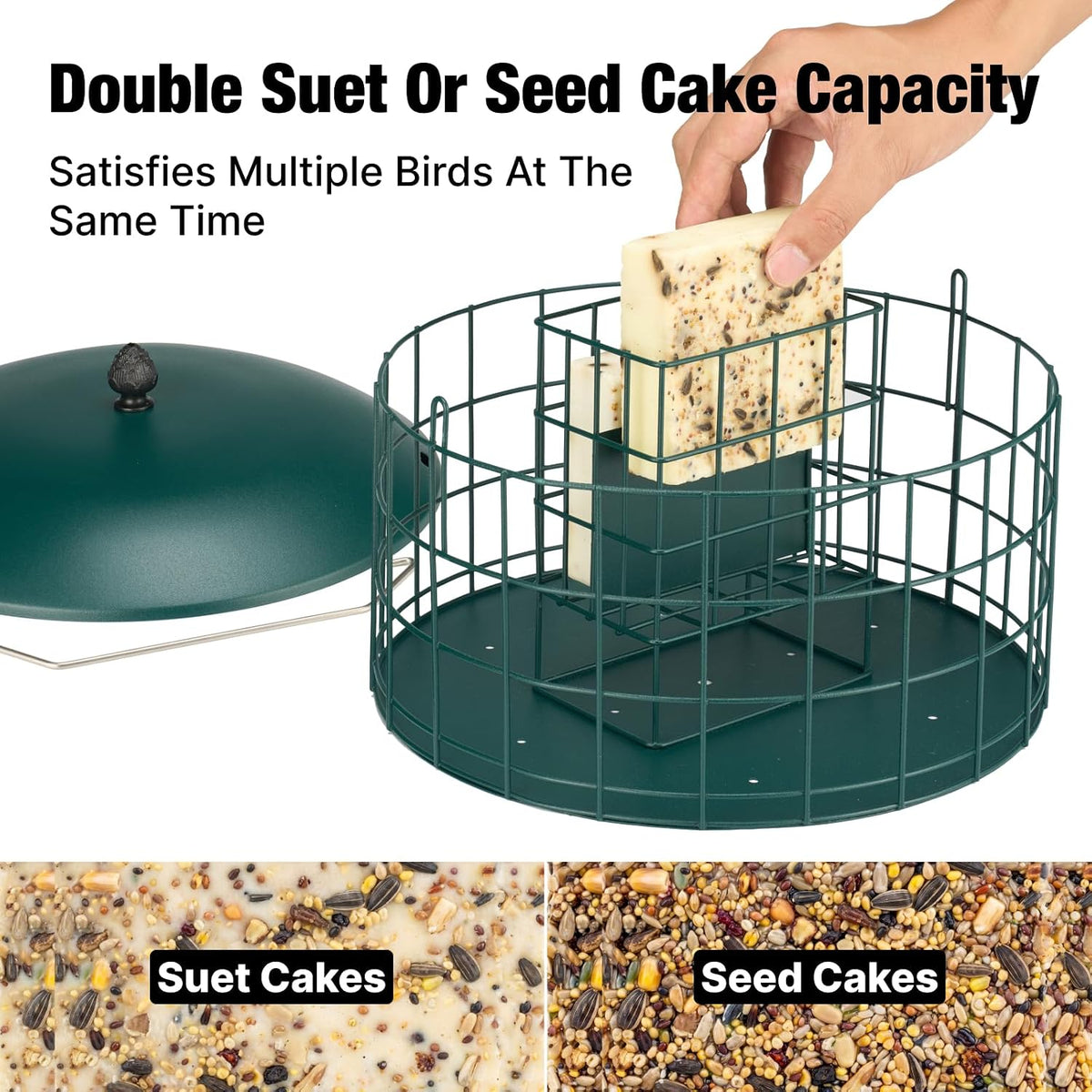 Squirrel Proof Suet Feeder for Woodpeckers, All Metal Caged Feeders