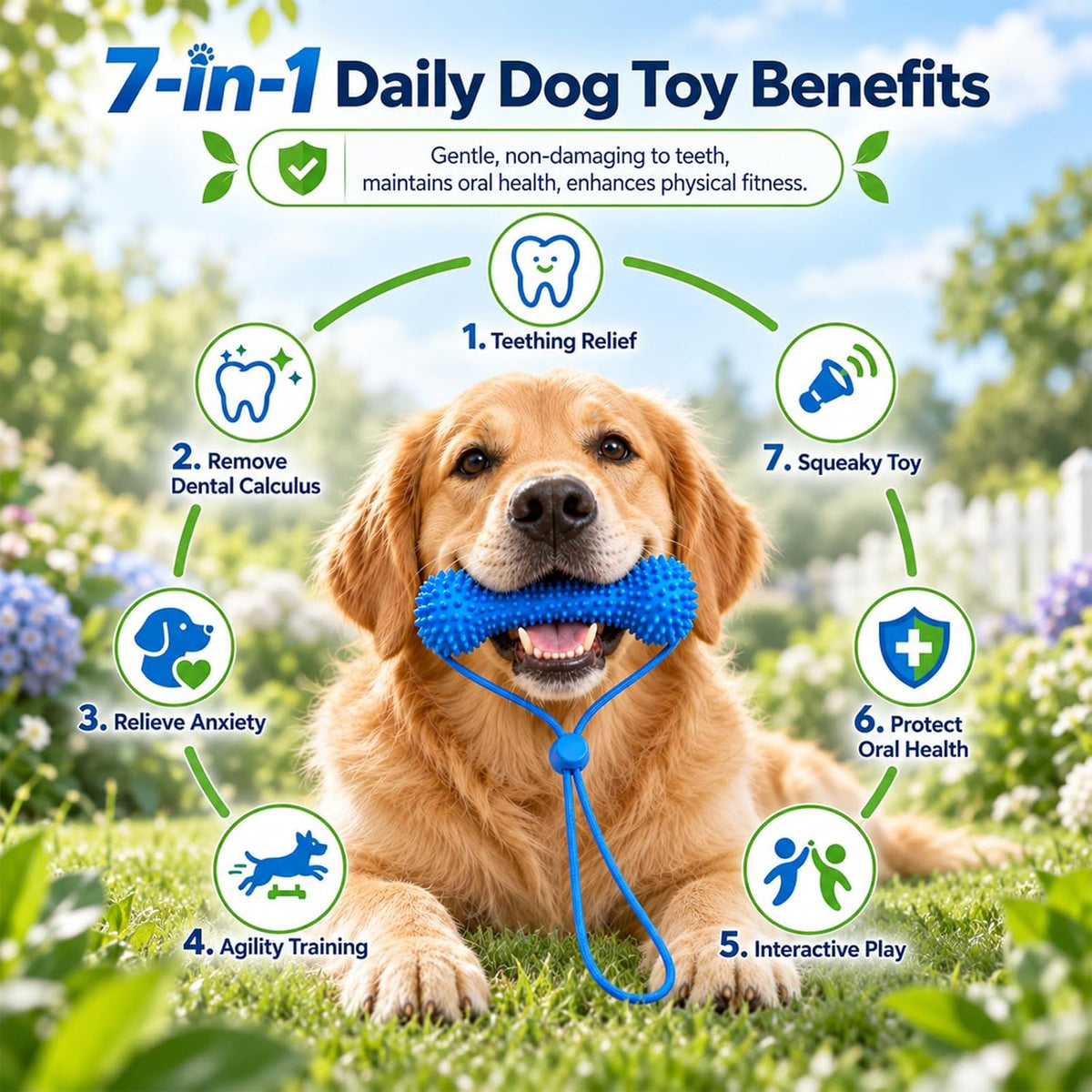 Dual-Action Canine Dental Prop,Dog Teeth Cleaning Chew Toys,Equipped with Mini Finger Toothbrush(2Pcs),Small Dog Oral