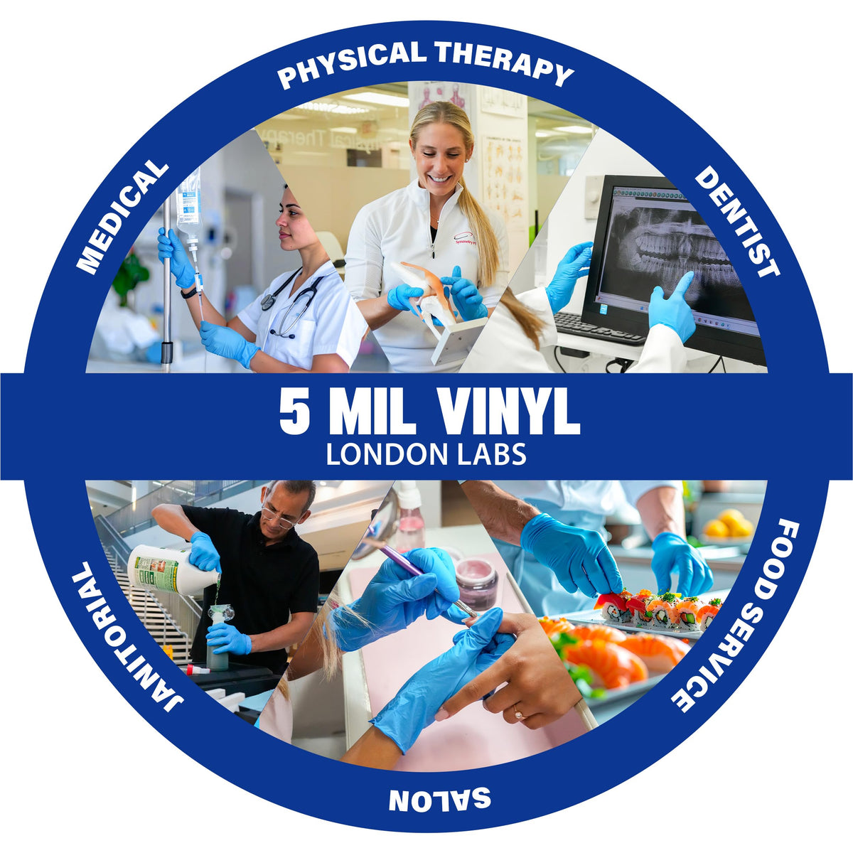 Synthetic Vinyl Exam Gloves (1000, Large)