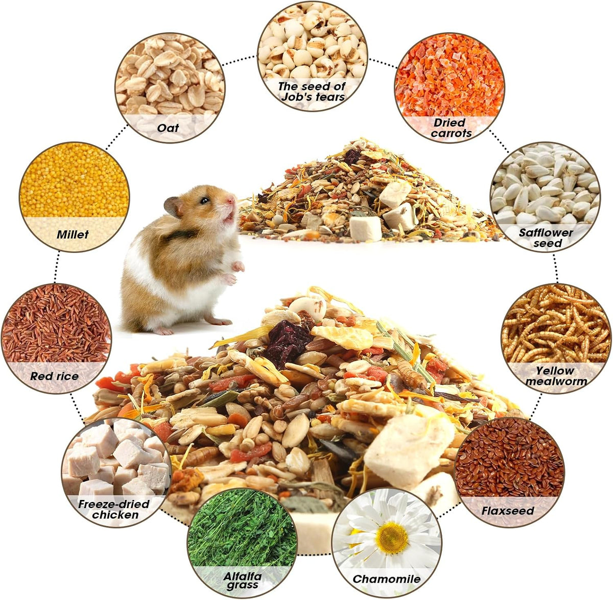 Gourmet Hamster & Gerbil Food, Dry Food for Hamsters-Supports Healthy Digestion and Healthy Teeth Unique Edible