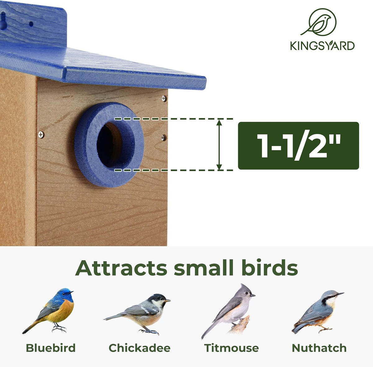 Kingyard Bluebird House, Outdoor Bird House with Predator Guard
