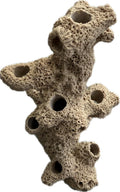 10 Hole Torch Tower Coral Frag Plug Rack/Frag Rock for Live Coral Plug Ons for Reef Aquariums (Tan)