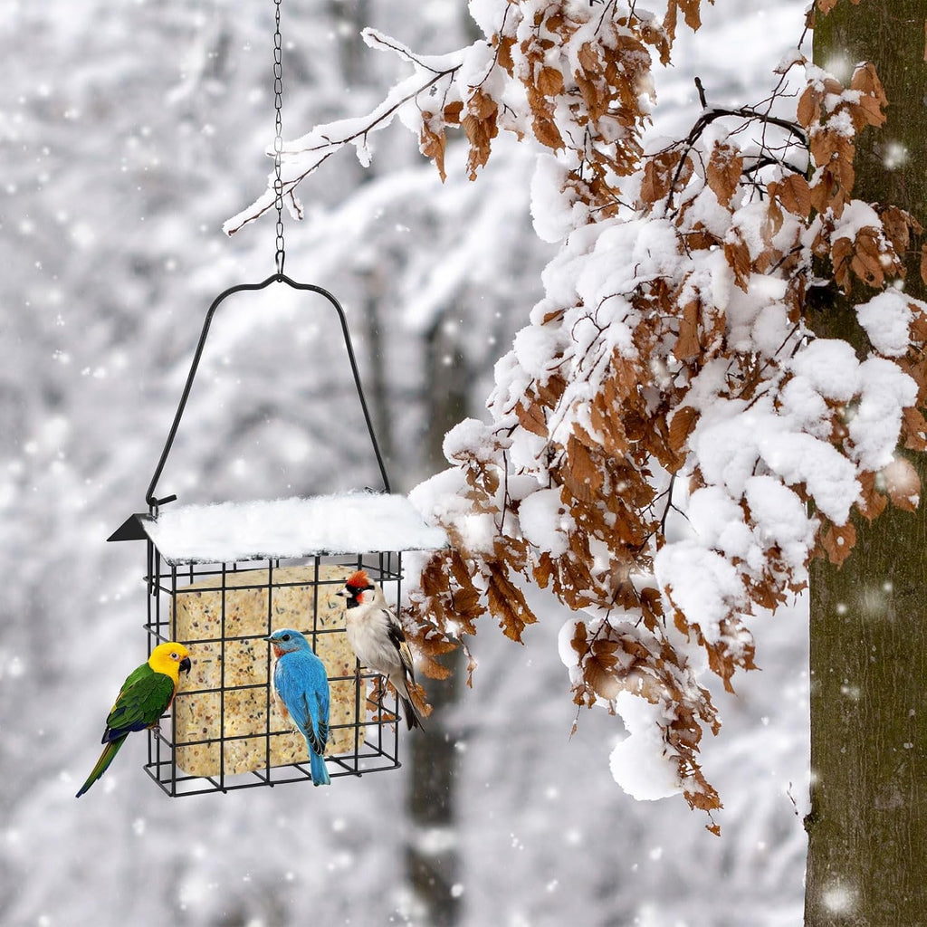 2Pcs Suet Bird Feeder Hanging, Metal Roof Adjustable Chain