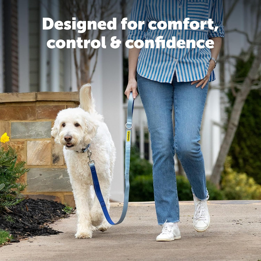 Comfort 4 ft Bungee Dog Leash, Blue