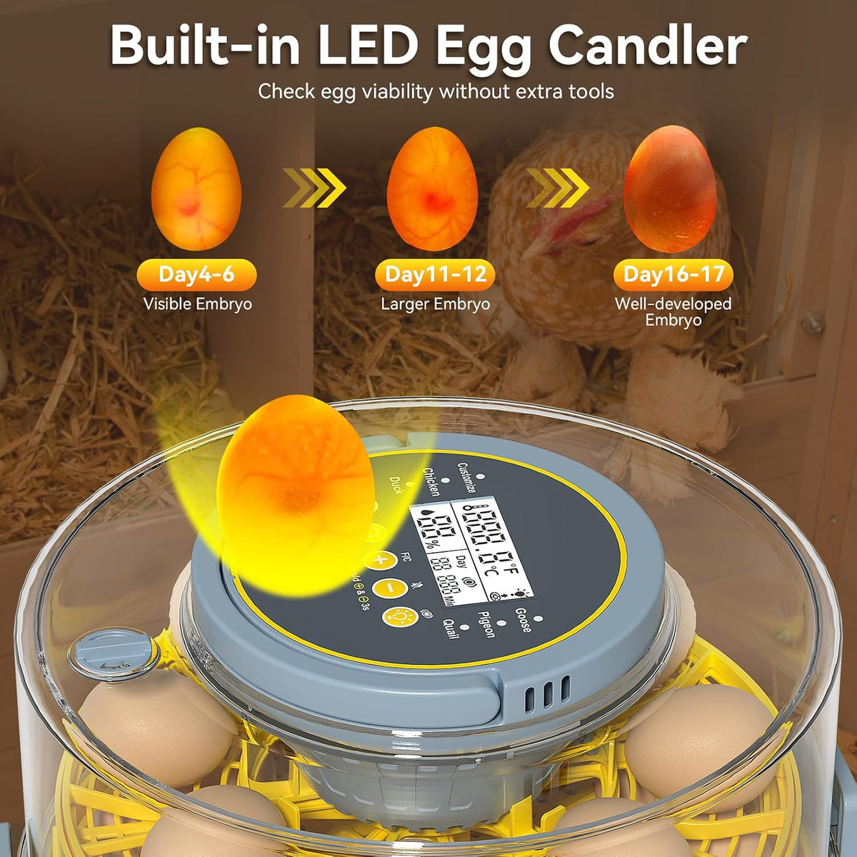 Egg Incubator for Hatching Eggs – 20-Egg Capacity with Automatic Egg Turner, Temperature & Humidity Control, LED Egg