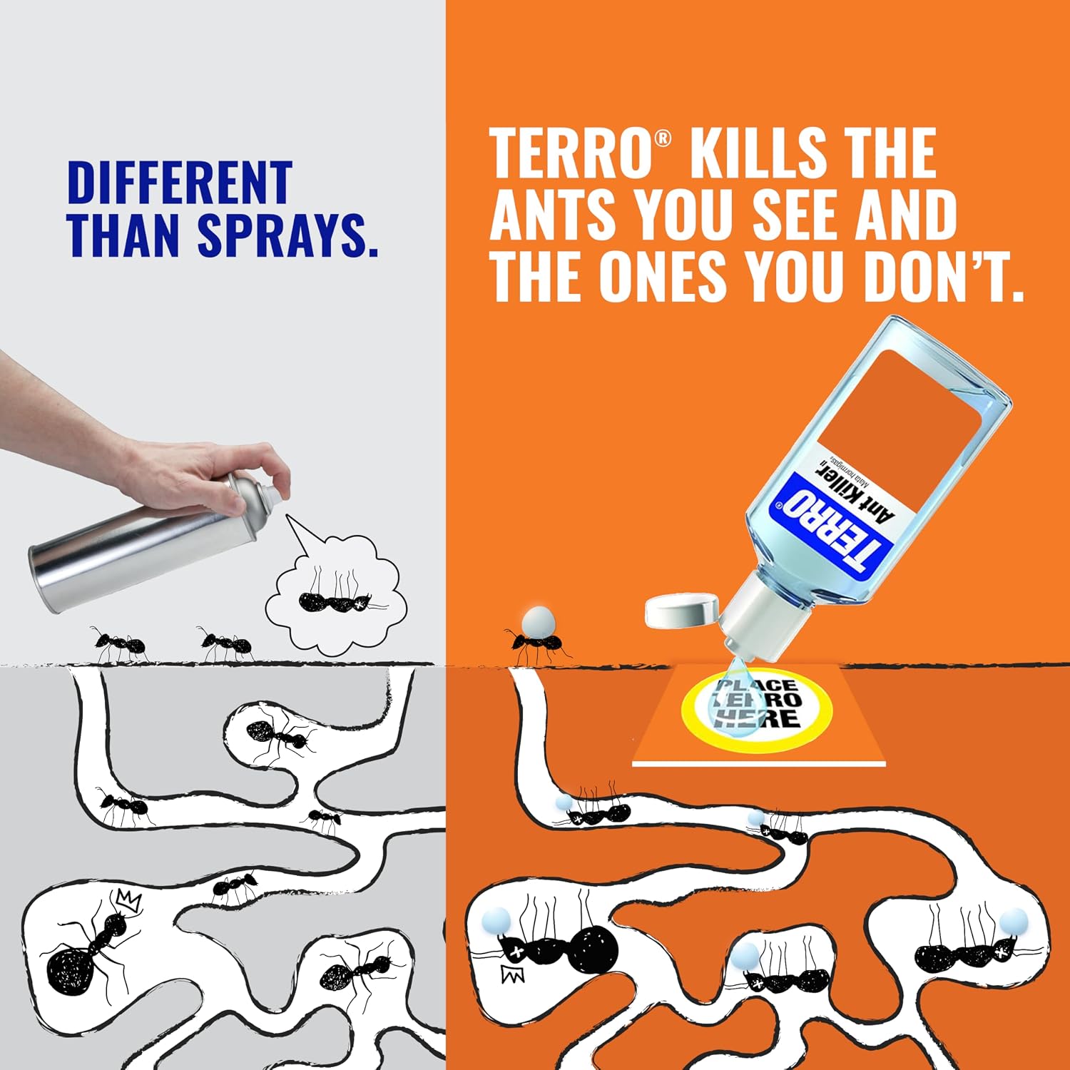 Liquid Ant Killer 3-Pack Indoor Ant Baits with Borax - Kills Common Household Ants Including Ghost, Sugar, and Black
