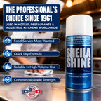 Stainless Steel Cleaner & Polish, Aerosol Spray, 12 x 10oz
