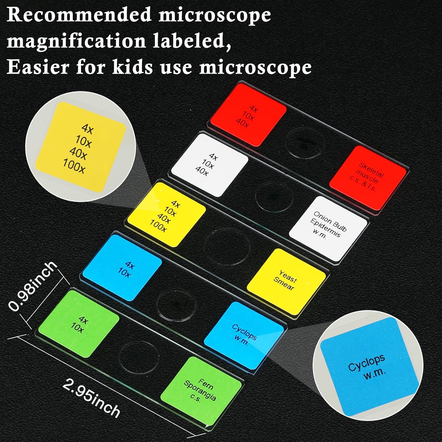 Microscope Slides with Specimens for Kids, 60 Lab-Grade Prepared Microscope Slides, Animal/Plant/Microbe/Tissue